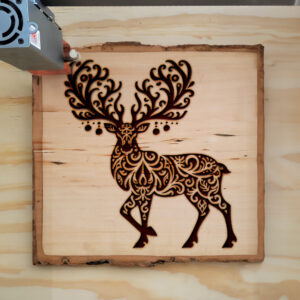 194631_wood-laser-1.jpg