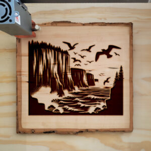 194677_wood-laser-1.jpg