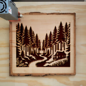 194683_wood-laser-1.jpg