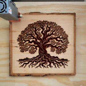 194685_wood-laser-1.jpg
