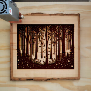 194693_wood-laser-1.jpg