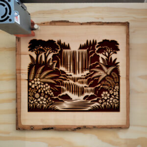 194695_wood-laser-1.jpg