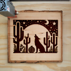 194711_wood-laser-1.jpg