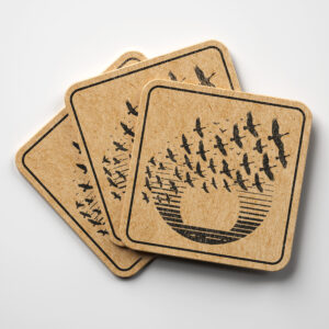 194715_coaster-1.jpg