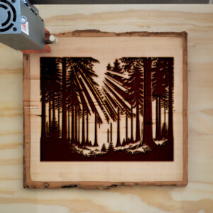 194741_wood-laser-1.jpg