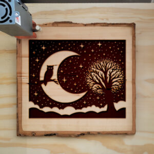 194745_wood-laser-1.jpg