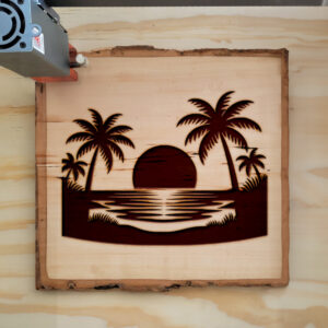 194751_wood-laser-1.jpg