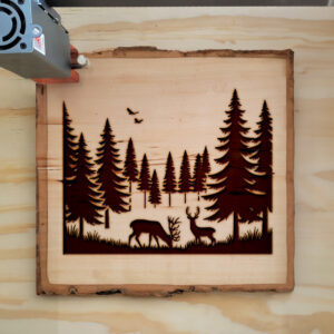 194755_wood-laser-1.jpg