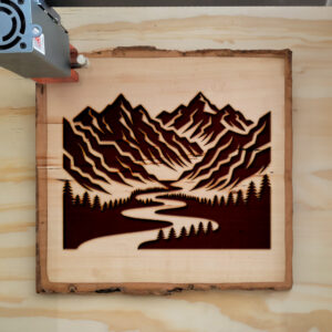 194764_wood-laser-1.jpg