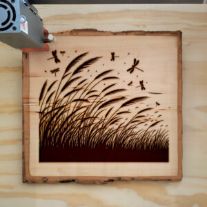 194770_wood-laser-1-1.jpg