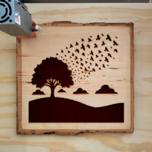 194784_wood-laser-1.jpg