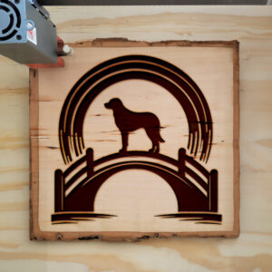 194856_wood-laser-1.jpg
