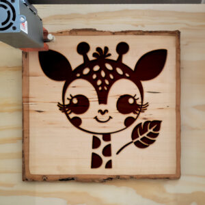 198370_wood-laser-1.jpg