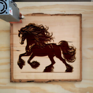 198550_wood-laser-1.jpg