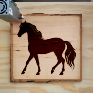 203560_wood-laser-1.jpg