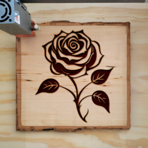 203623_wood-laser-1.jpg