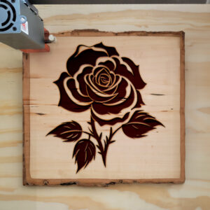 203625_wood-laser-1.jpg