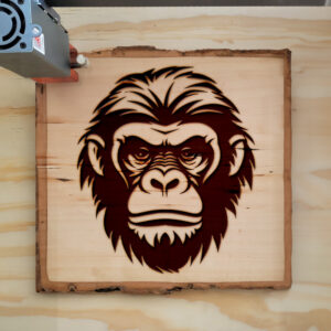 203681_wood-laser-1.jpg