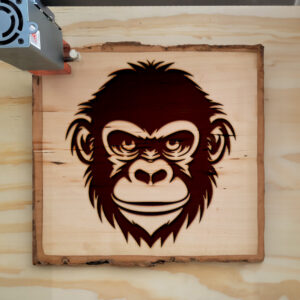 203683_wood-laser-1.jpg