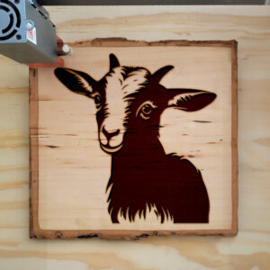 203689_wood-laser-1.jpg