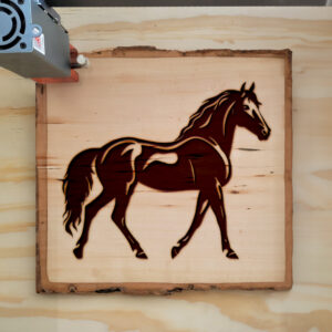 203723_wood-laser-1.jpg