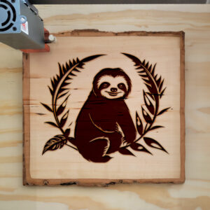 203737_wood-laser-1.jpg