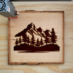 203805_wood-laser-1.jpg