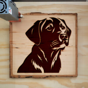 203809_wood-laser-1.jpg