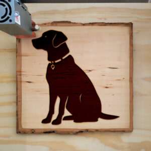 203813_wood-laser-1.jpg