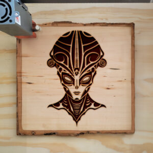 203834_wood-laser-1.jpg