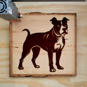 203895_wood-laser-1.jpg