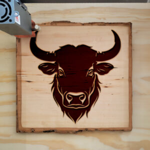 203915_wood-laser-1.jpg
