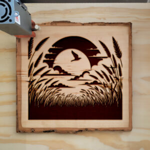204494_wood-laser-1.jpg