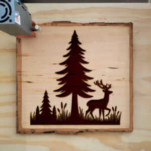 204496_wood-laser-1.jpg