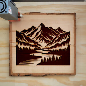 204498_wood-laser-1.jpg