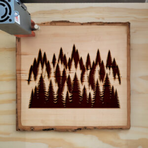 204531_wood-laser-1.jpg