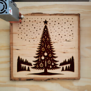 204559_wood-laser-1.jpg