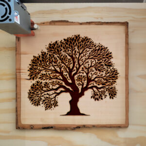205409_wood-laser-1.jpg
