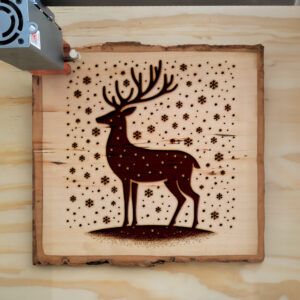 205459_wood-laser-1.jpg