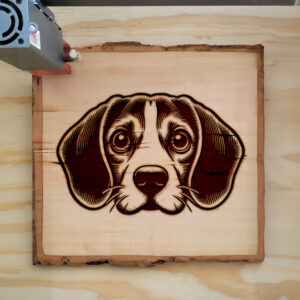 205465_wood-laser-1.jpg