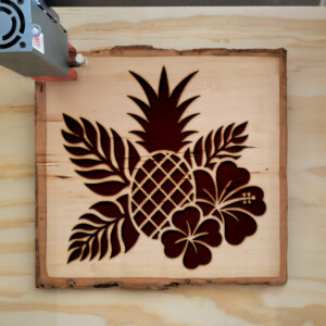 205490_wood-laser-1.jpg