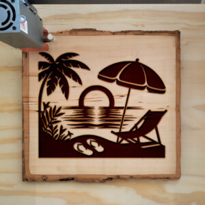 205495_wood-laser-1.jpg