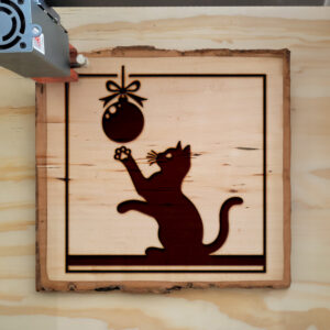 205503_wood-laser-1.jpg