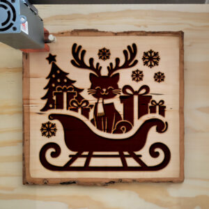 205505_wood-laser-1.jpg