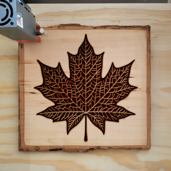 Earring Card SVG. Maple Leaf Laser Cut Graphic by Digital Idea · Creative  Fabrica