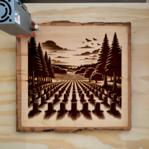 207537_wood-laser-1.jpg