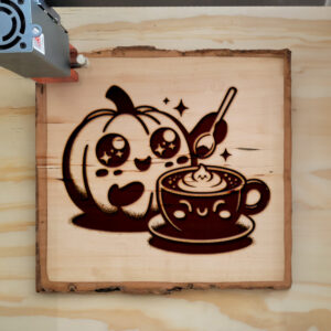 207554_wood-laser-1.jpg