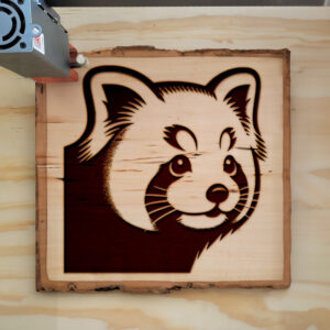 216643_wood-laser-1.jpg