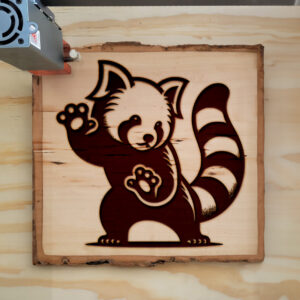 216644_wood-laser-1.jpg