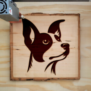 216661_wood-laser-1.jpg